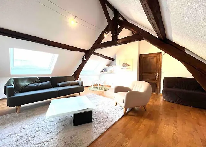Grand Appartement En Centre Ville