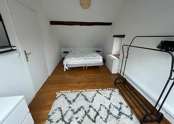 Grand Appartement En Centre Ville